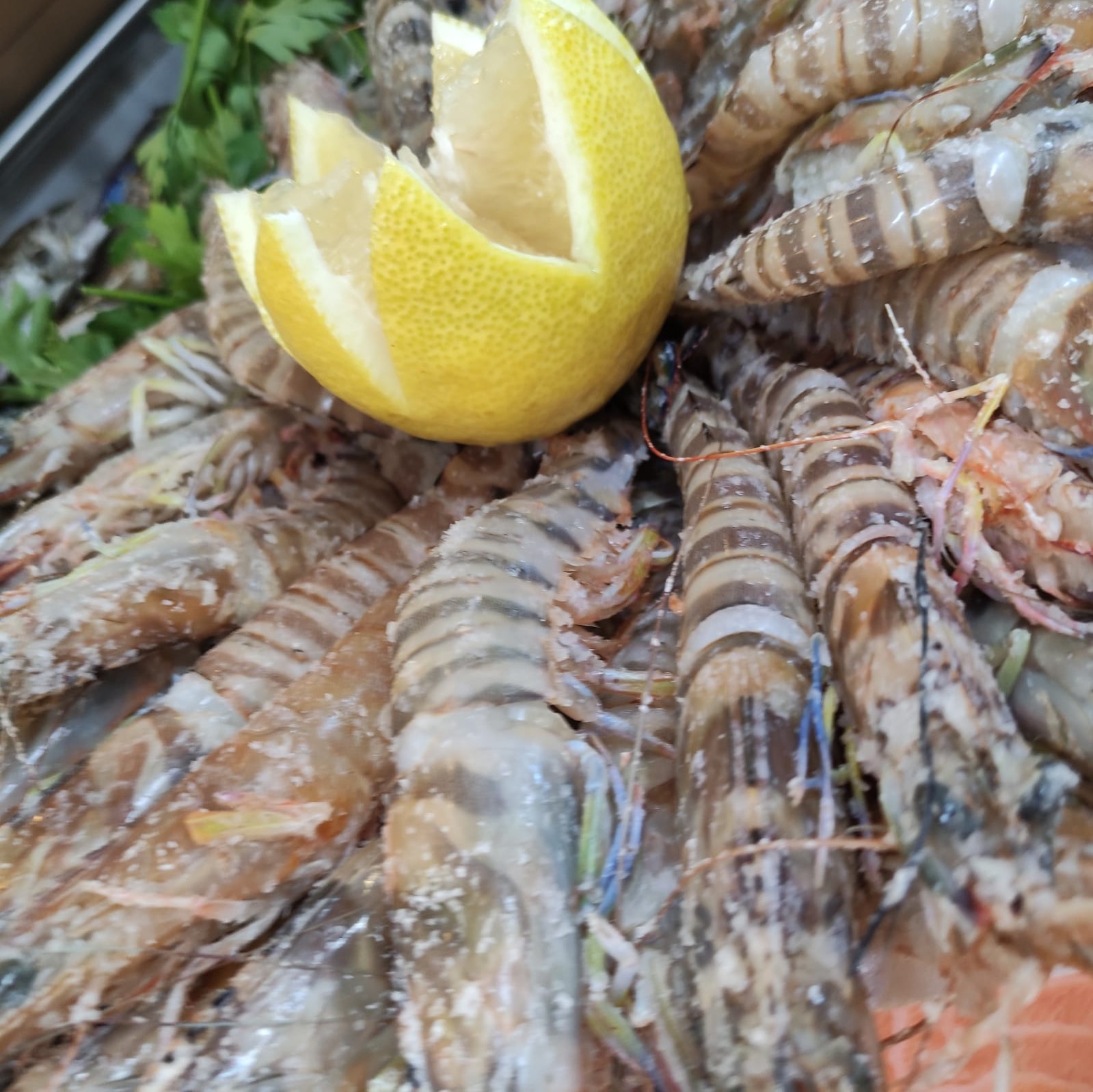 WhatsApp Image 2021-08-19 at 1.53.12 PM (2).jpeg